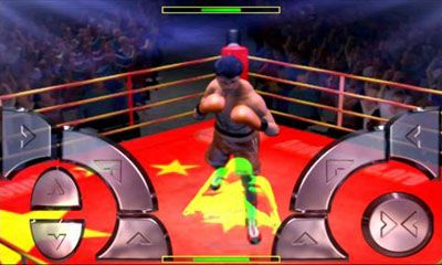 5 international boxing champions
